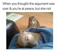 Wife after argument over